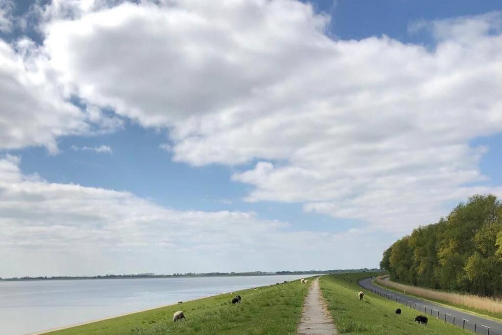 Wilhelms Havenkoje - Gemuetliches Innenstadtappartment Wilhelmshaven Exteriör bild